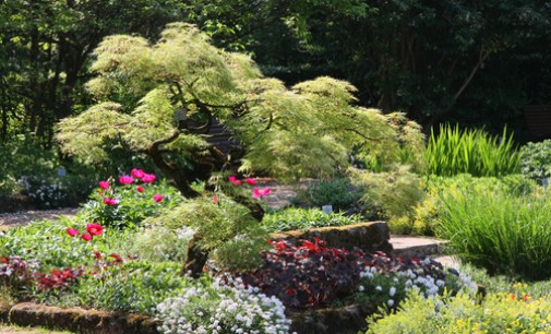 United States Botanic Garden Quick Facts