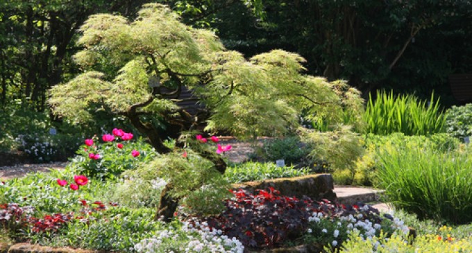 United States Botanic Garden Quick Facts
